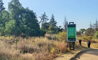 ¡Terrible hallazgo! Encuentran cuerpo colgando de un árbol, en Parque del Cerro de la Estrella