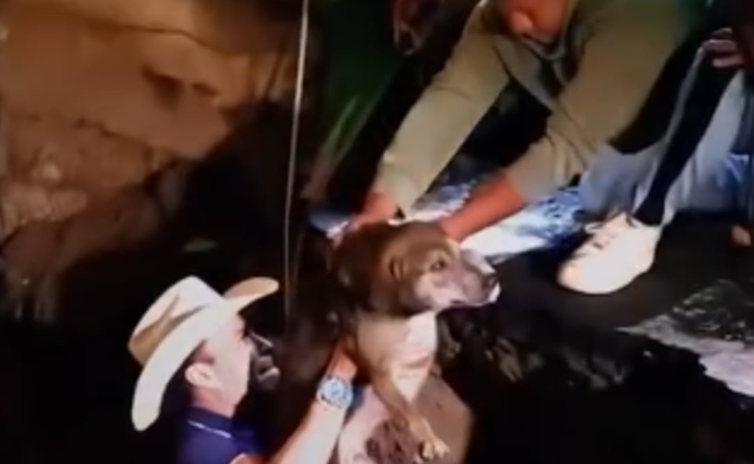 Perrito queda atrapado en profundo socavón y alcalde se une al rescate (Foto: Captura de video)
