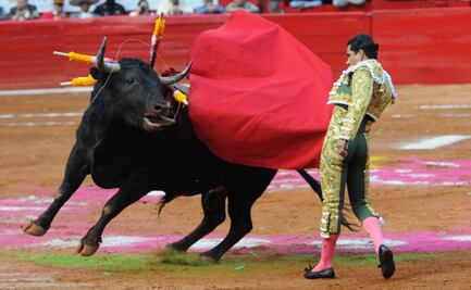 Plaza México sin muerte ni sufrimiento: Así serán las nuevas corridas de toros en la capital
