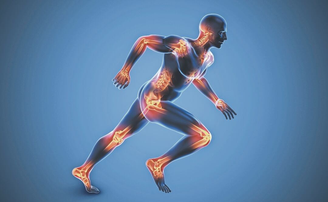 ¿Cuáles son las causas que lo afectan y desgastan el cartílago?