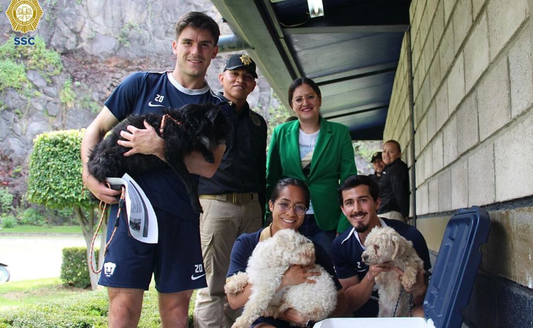 Adopta un Amigo: Los Pumas y la Brigada Animal se Unen para Dar Hogar a Perritos Rescatados