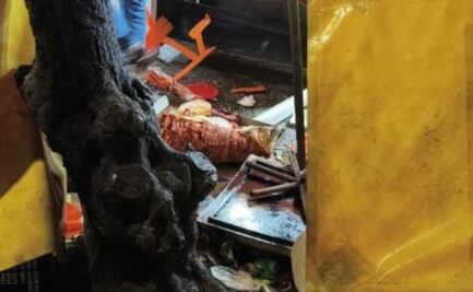 Por ir jugando conductor de una BMW destroza taquería y deja tres lesionados en Coyoacán