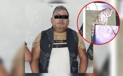 Detienen a hombre investigado por tentativa de homicidio; se le encontró un jaguar como mascota