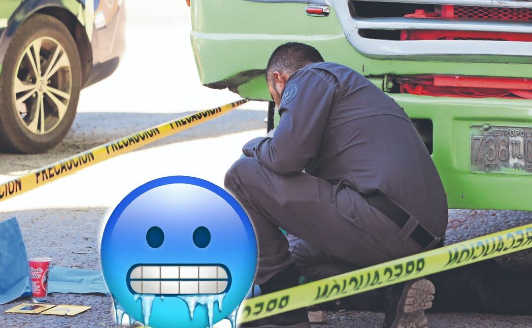 Atropellado - Gustavo A. Madero