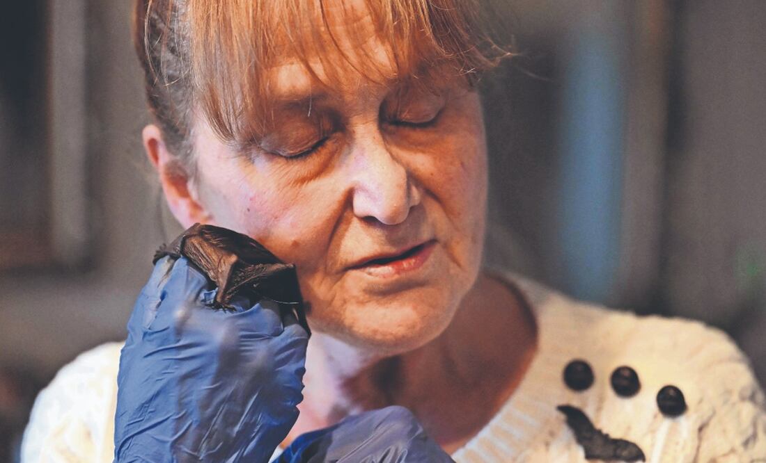 “BATI-MAMÁ”, jubilada creó un asilo para murciélagos en Polonia