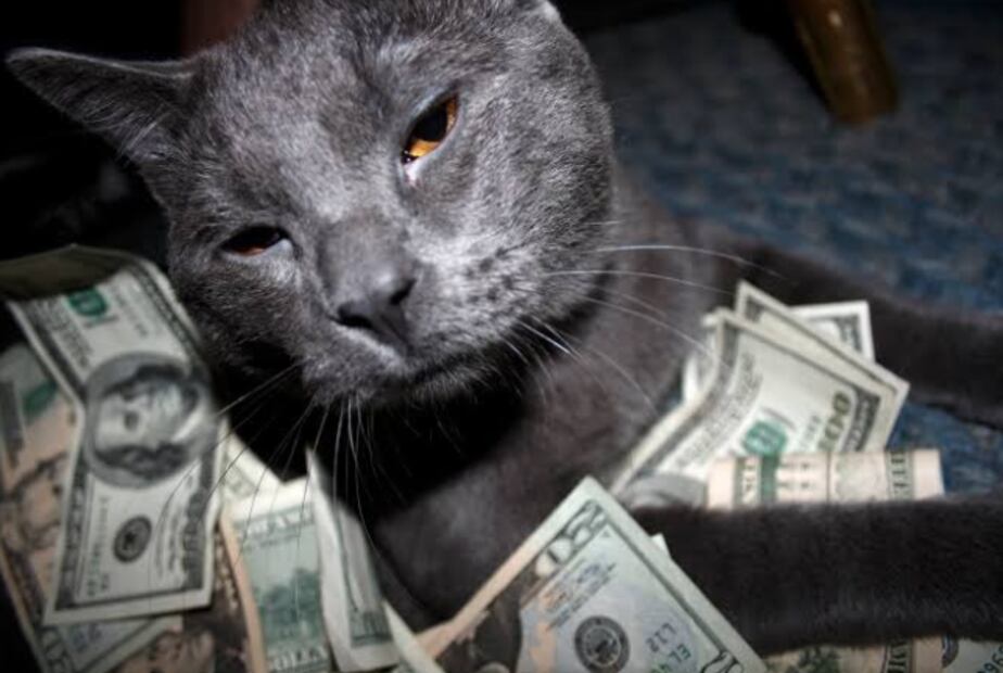 Blackie (Foto: X)