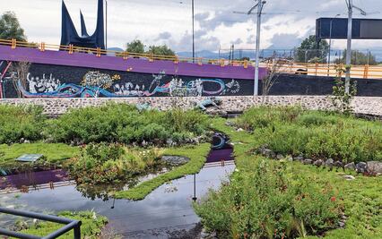 Vecinos exhiben fracaso de obras realizadas alrededor del Estadio Ciudad de México
