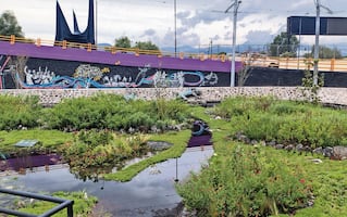 Vecinos exhiben fracaso de obras realizadas alrededor del Estadio Ciudad de México