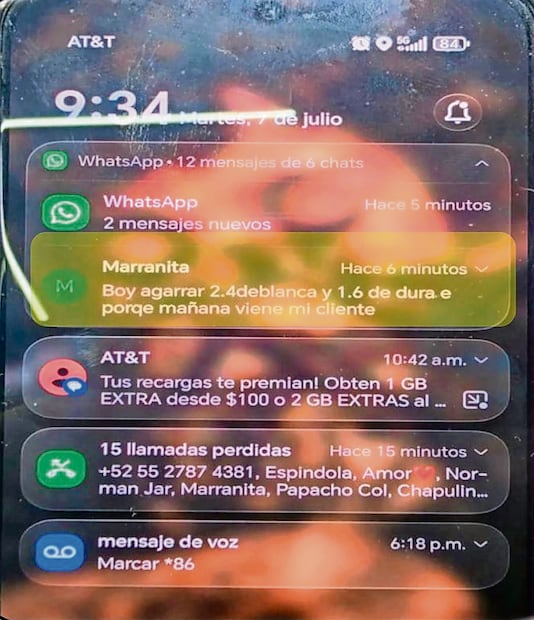 Mensaje de WhatsApp (Foto: Especial)