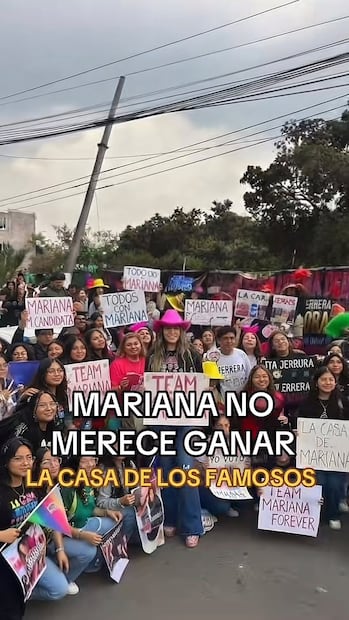 Imagen supuestamente hecha con IA de apoyo a Mariana Ochoa (Vía: Tik tok)