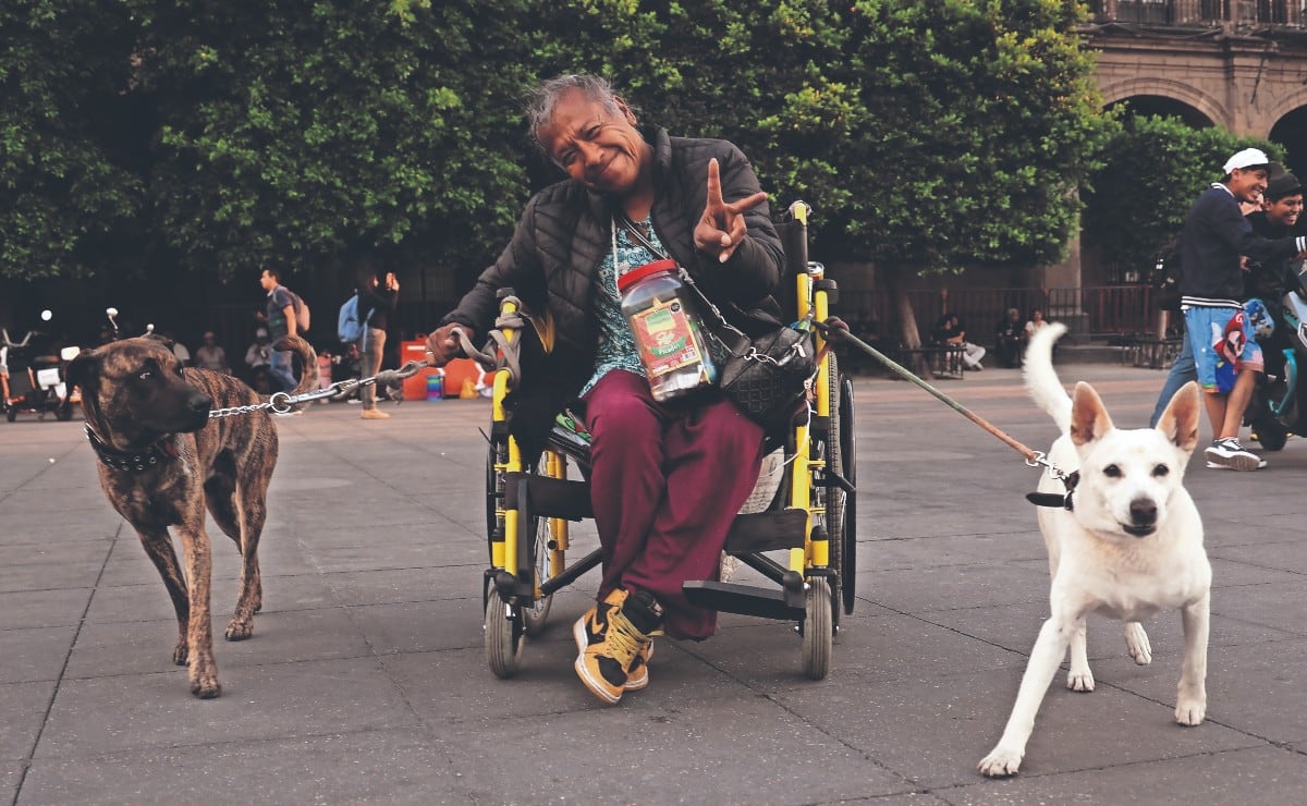 Crisis de movilidad en CDMX: Solo el 23% de las calles tienen rampas peatonales