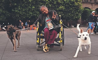 Crisis de movilidad en CDMX: Solo el 23% de las calles tienen rampas peatonales