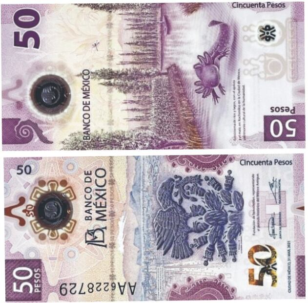 Los billetes más bonitos del mundo. Foto: (Especial)
