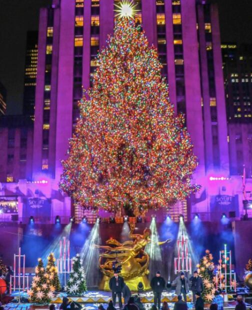 Árbol de Navidad (Foto: X)