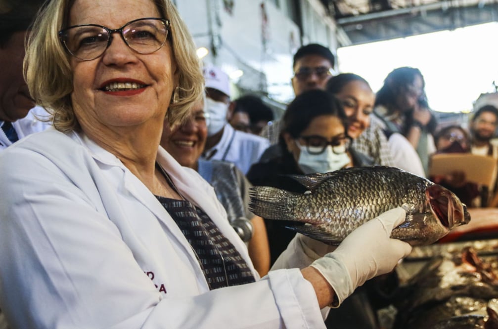 ¿Dónde comprar mariscos baratos en Cuaresma 2026? Guía de precios en La Nueva Viga (Foto: Cuartoscuro / Victoria Valtierra Ruvalcaba)