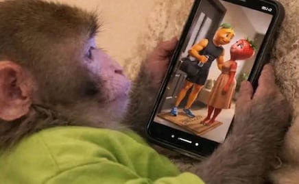 Las Frutinovelas, el nuevo contenido viral, ¿Es apto para menores de edad?