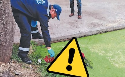 Borrachito muere ahogado en alcohol y encuentran su cuerpo en un canal de Xochimilco