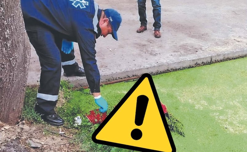 Borrachito muere ahogado en alcohol y encuentran su cuerpo en un canal de Xochimilco