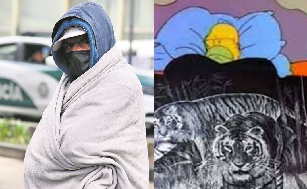 ¡Team frío, repórtense con sus cobijas de tigre! Racha gélida durará 8 días más