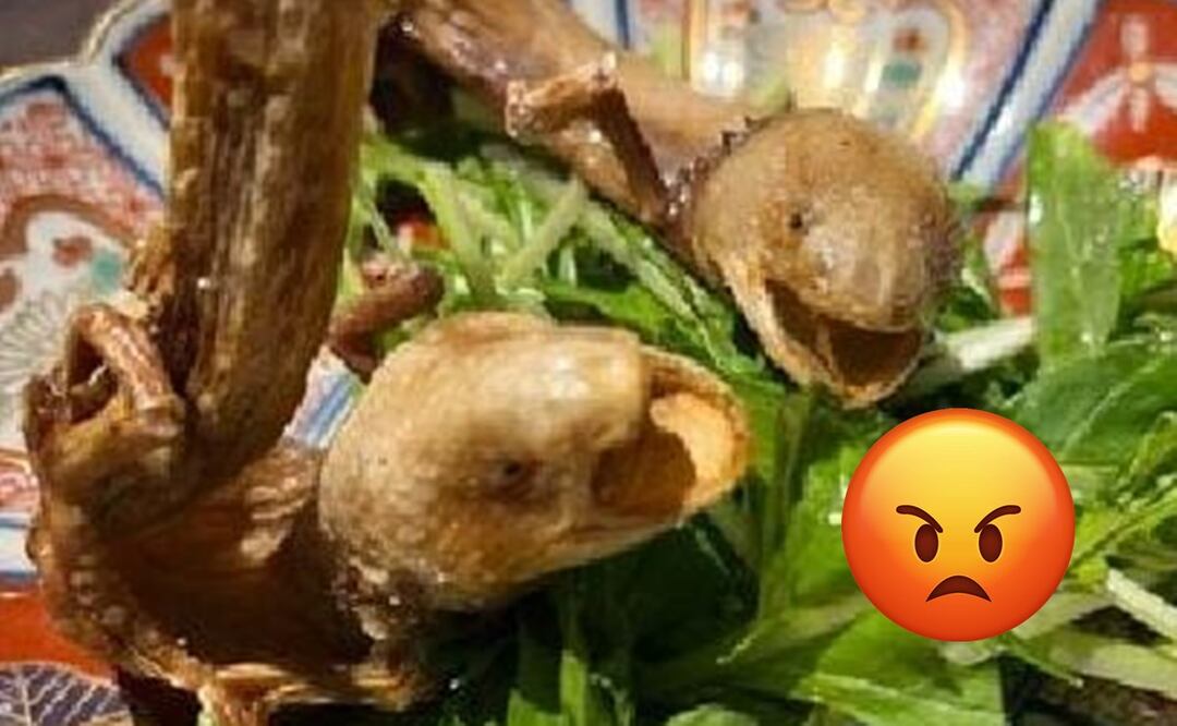 Restaurante japonés causa terror e indignación, por servir ajolotes fritos