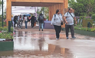 Jardín Flotante Tlalpan presenta fallas a un día de su inauguración, reportan goteras y charcos