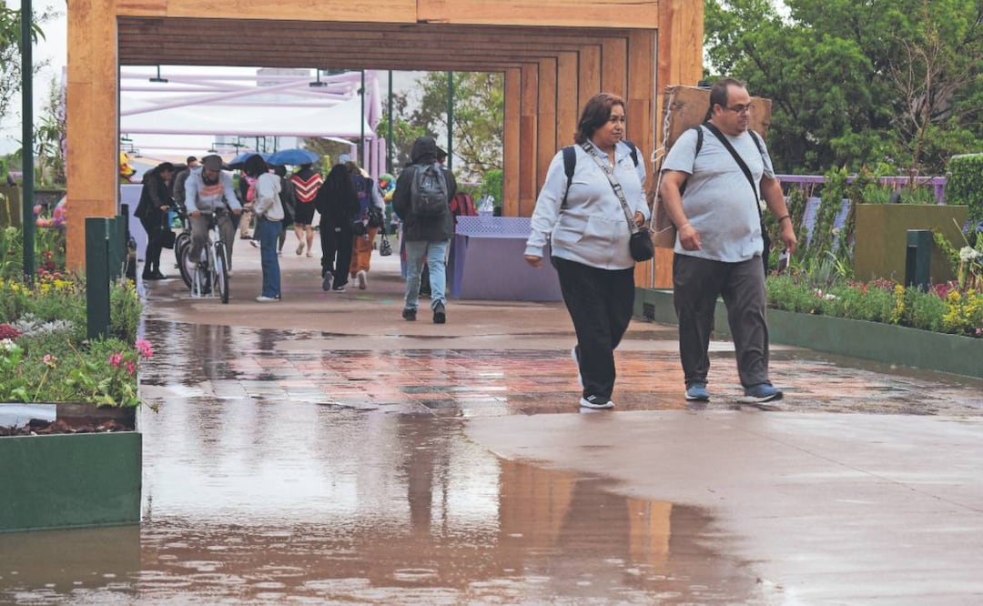 Jardín Flotante Tlalpan presenta fallas a un día de su inauguración, reportan goteras y charcos (Foto: Santiago Cadena)