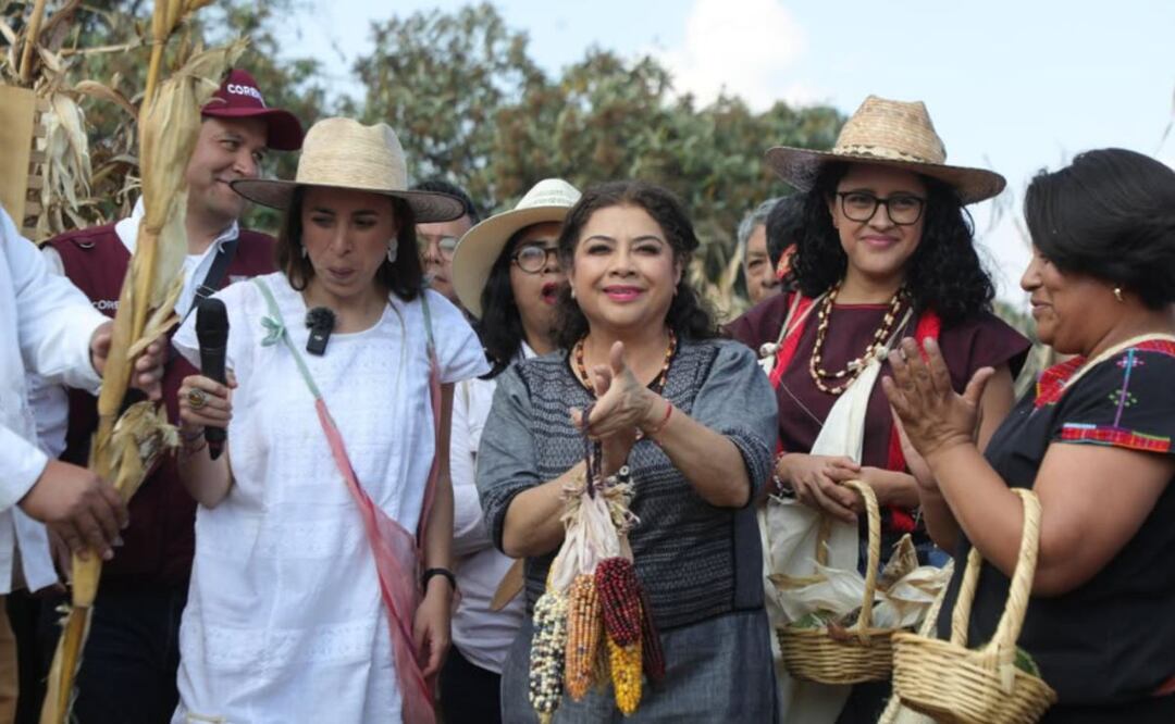 CDMX refuerza la producción local de maíz y crea tortillerías comunitarias de bajo costo