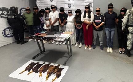 ¿Call Center Satánico? Recuperan casa en Ecatepec y encuentran gallinas degolladas