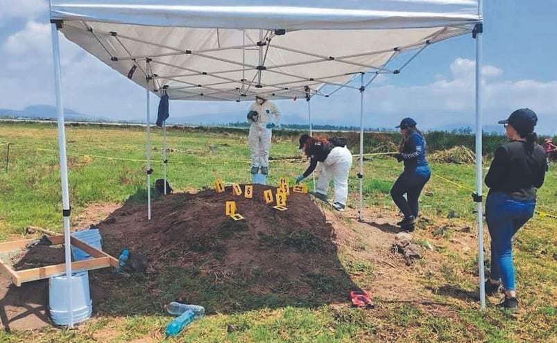 Hallan 21 restos óseos en Tláhuac tras operativo "SABLE CDMX" en el Lago de Chalco 