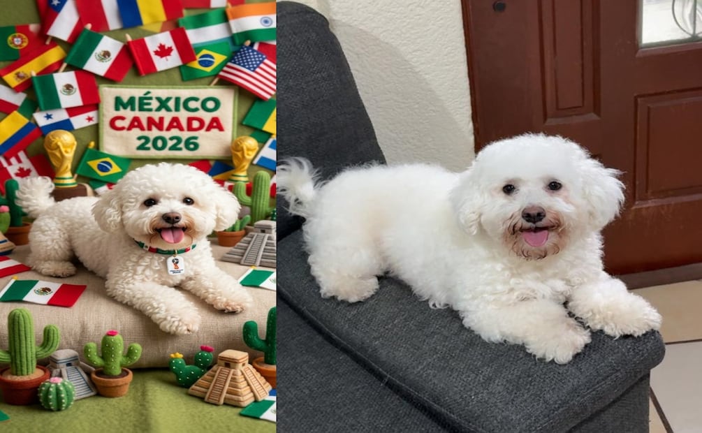 Paso a Paso: Crea la foto de tu mascota como peluche oficial de la Copa del Mundo 2026