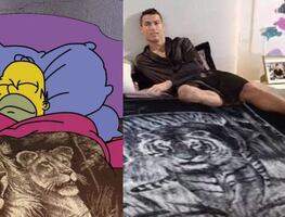 ¿Cuál es el origen de la cobija de tigre? La vieja confiable para combatir el frío extremo