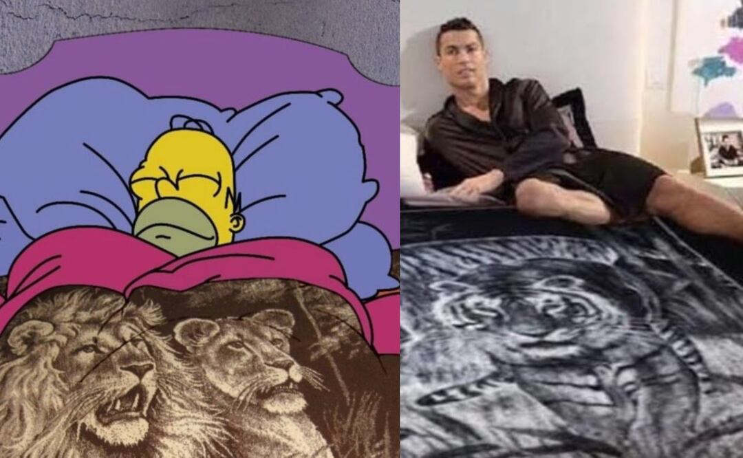 Cobija de tigre, origen e historia. Foto: (Especial)