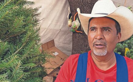 ¿Cuánto cuesta un árbol de Navidad natural en el Mercado de Jamaica este año?