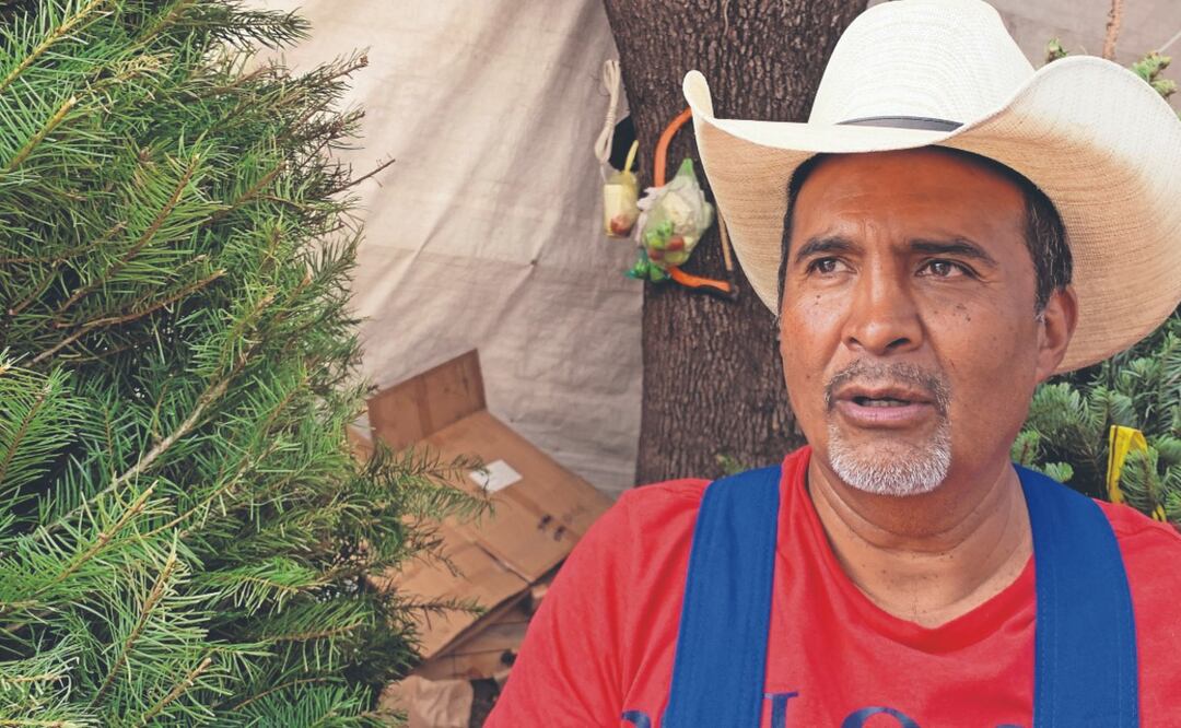 ¿Cuánto cuesta un árbol de Navidad natural en el Mercado de Jamaica este año?
Imagen: ALBERTO GONZÁLEZ. EL GRÁFICO