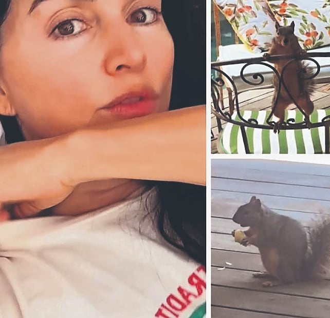 ¿Ana de la Reguera piensa igual que Pedro Sola? Trae pleito con una ardilla y le lanzan advertencia. Foto: (Redes Sociales)