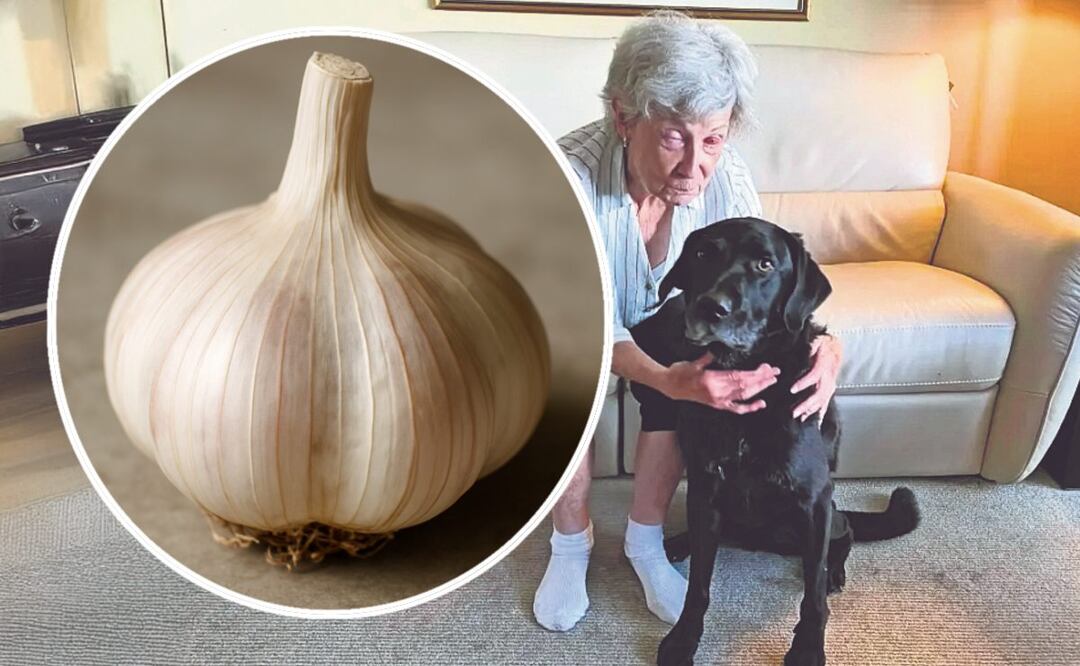 Ajo contra la ceguera (Foto: X)