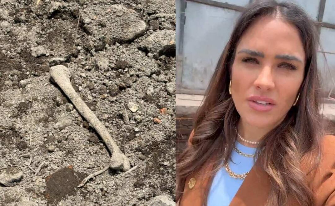 Restos humanos en la alcaldía Cuauhtémoc. Foto: (Especial)