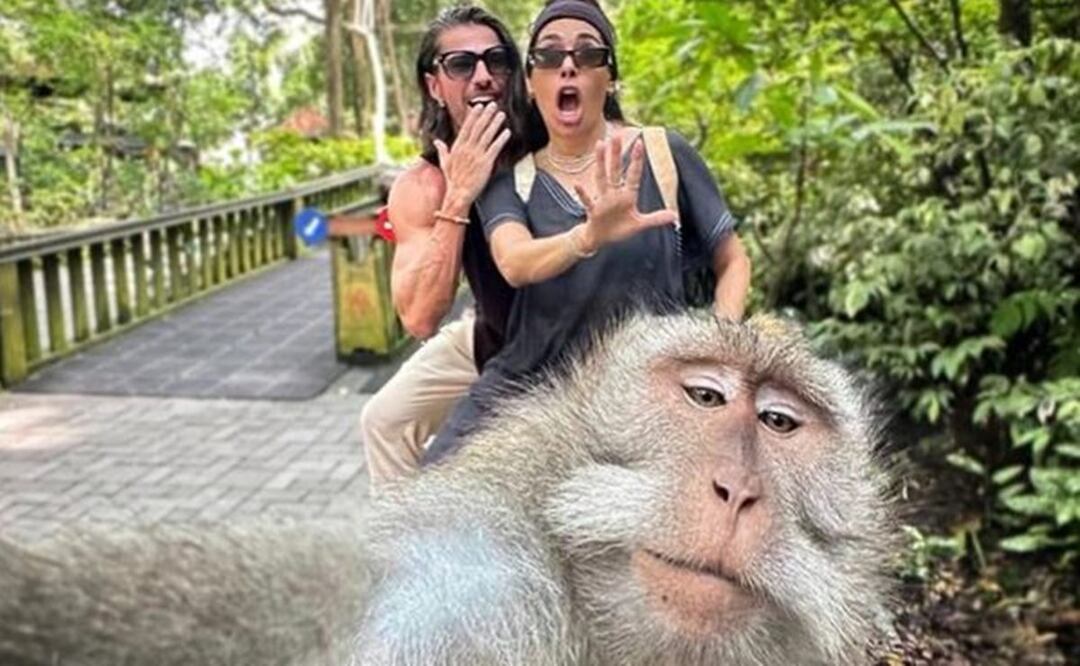 Al estilo de Belinda y Nodal, Galilea Montijo marca a su ganado con tatuaje de parejas