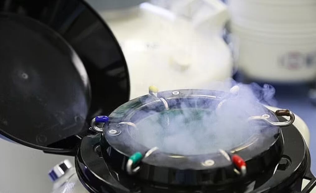 Foto: (Bangkok Post)