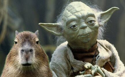 ¿Cómo se vería un Capibara si fuera un personaje de Star Wars?
