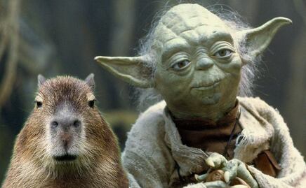 ¿Cómo se vería un Capibara si fuera un personaje de Star Wars?