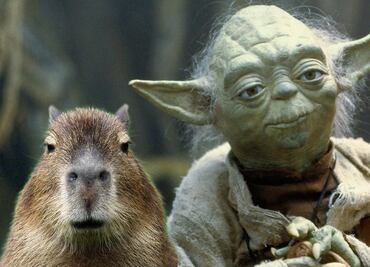 ¿Cómo se vería un Capibara si fuera un personaje de Star Wars?