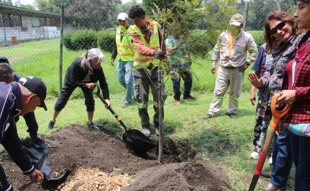 Reforestación en CDMX