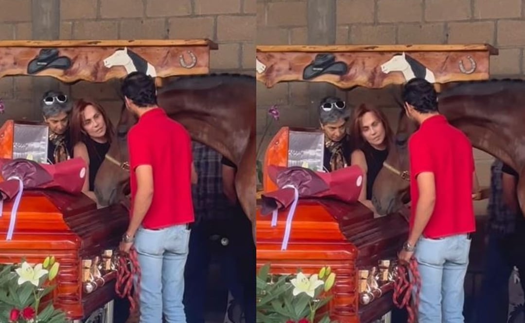 Elena Larrea: Caballitos despiden el cuerpo de su salvadora en Cuacolandia