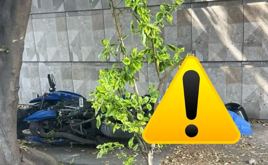 Acribillan a tripulantes de una moto en Azcapotzalco: el joven murió frente a su acompañante
Imagen: Especial