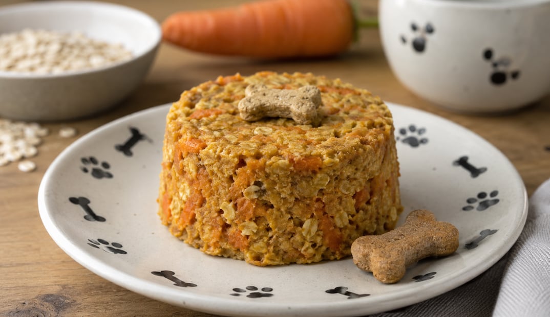 Pastel de zanahoria en microondas, apto para perritos
