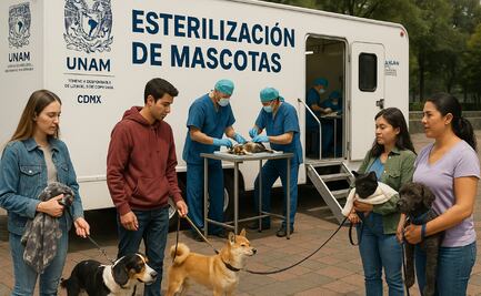 Esteriliza a tu mascota en la UNAM ¿Cómo sacar cita y cuánto cuesta?