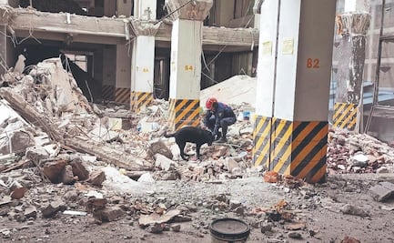 “En cinco minutos marcó a la primera víctima”: así trabajó el perro Togo tras el derrumbe en San Antonio Abad