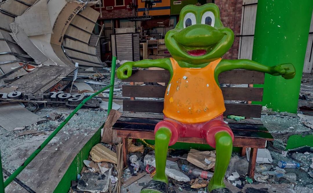 Fotógrafo captó el momento en que las ranitas del Sr. Frogs eran robadas en Acapulco