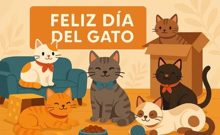 ¿Por qué se celebra el Día del Gato este viernes 08 de agosto?